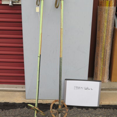 Pole, Ski