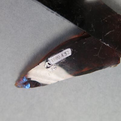 Number of fragment.: Origsize: .75" (h) x 3" (w) x; Origformat: Artifact