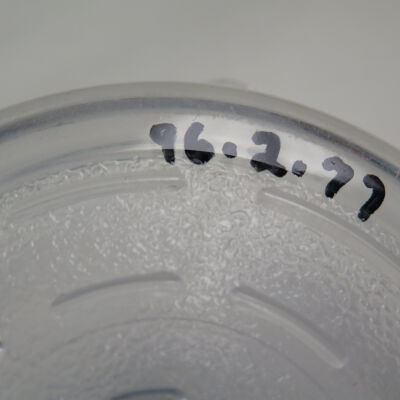 Number on bowl.: Origsize: 2.25" (h) x 8.25" (d; Origformat: Artifact