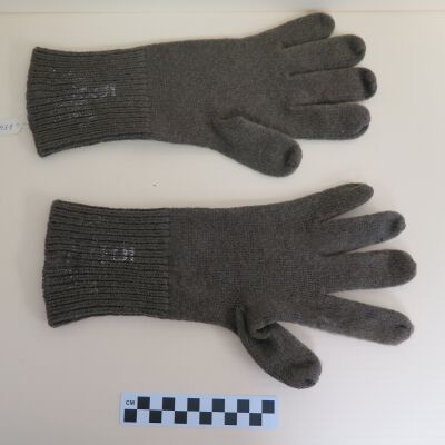 Front of glove liners: Origsize: 3.5" (w) x 12" (l); Origformat: Artifact