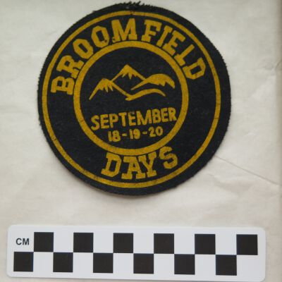 Patch, Insignia