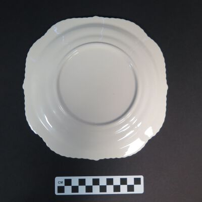 Back of plate with no markings.