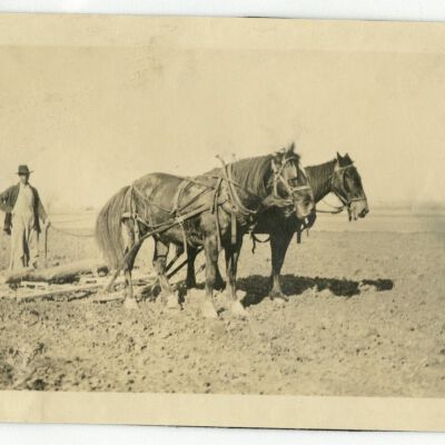 Print, Photographic