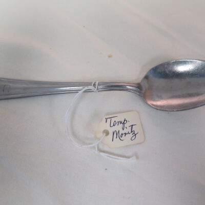 U.S. Army Air Force Spoon
