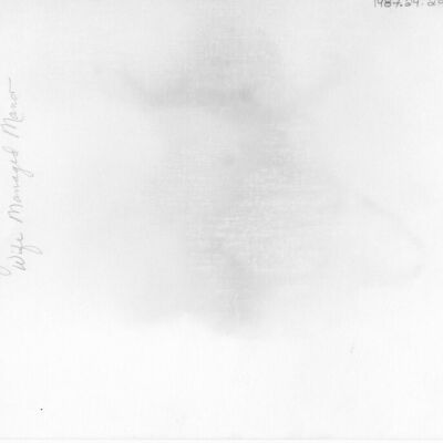 John DiCino -Back