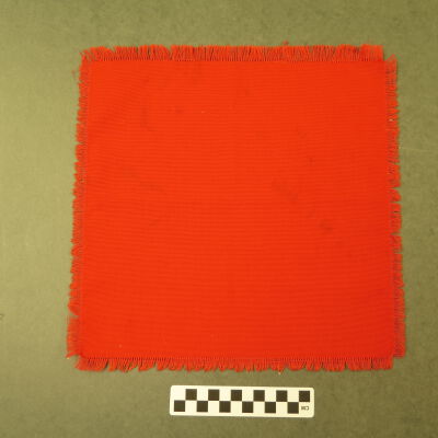 Napkin