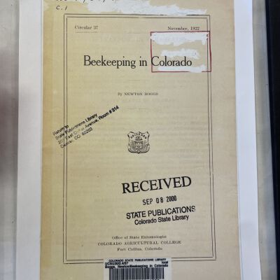 Beekeeping In Colorado