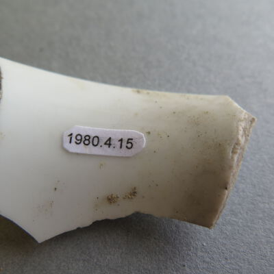 Number of cup.: Origsize: .5" (h) x 4.5" (w) x; Origformat: Artifact