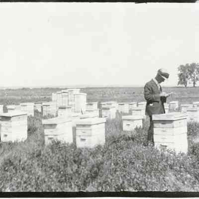 Crawford's Honey Farm with probably Harry Crawford