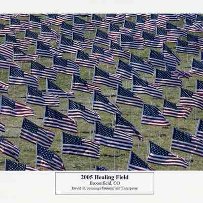 2005 Healing Field