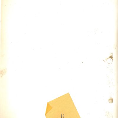Origformat: Print-Photographic
