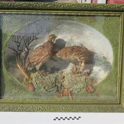 Diorama
