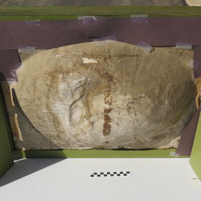 Back of diorama: Origformat: Artifact
