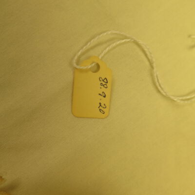 Close up of number on collar.: Origsize: 14" (w) x 20" (l); Origformat: Artifact