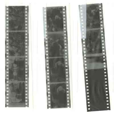 Negatives of Library, Gathering