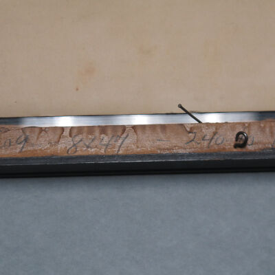 Writing on back of frame.: Origsize: 8" x 47"; Origformat: Print-Photographic