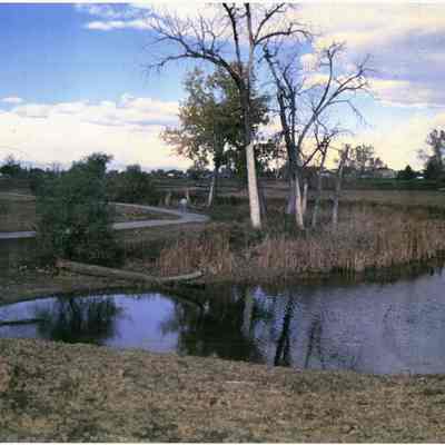 Photograph of a pond