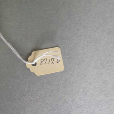Number of collar: Origsize: 6" (w) x 6" (l); Origformat: Artifact