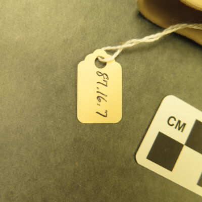 Number on gloves.: Origsize: 3.5" (w) x 12.5" (l); Origformat: Artifact
