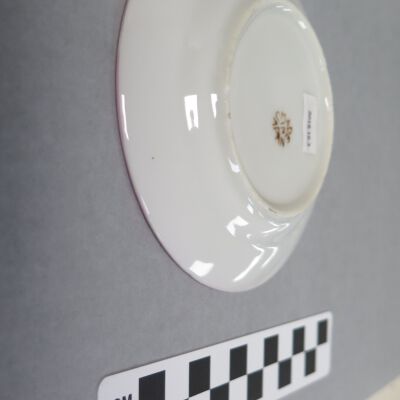 Bottom of plate.: Origformat: Artifact