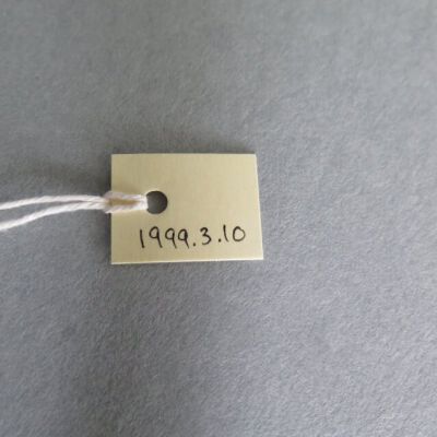 Number of slip: Origsize: 8" (w) x 19" (l); Origformat: Artifact