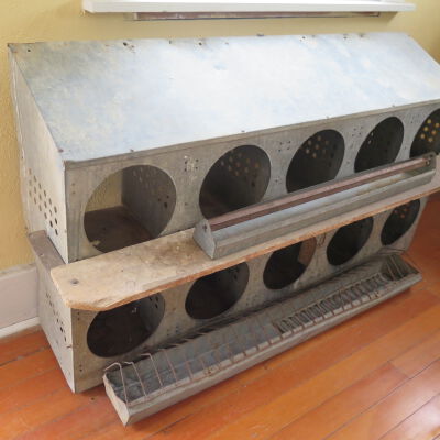 Feeder, Poultry