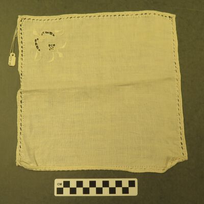 Napkin