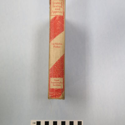spine