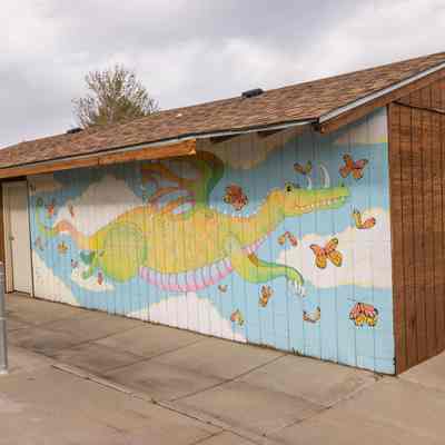 Broomfield Dragon
