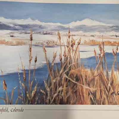 Broomfield Days 2002 Poster