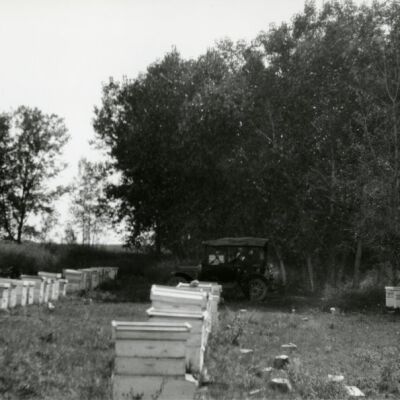 Crawford honey scoopers, circa 1920: Origsize: 5" x 7"; Origformat: Print-Photographic; Resolution: 725dpi