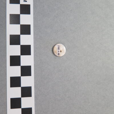Back of button.: Origsize: .5" (diam); Origformat: Artifact