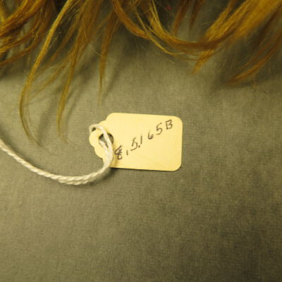Close up of number on gloves.: Origsize: 8.5" (w) x 13" (l); Origformat: Artifact