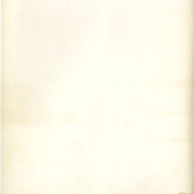Back of Ph.1083: Origsize: 8" x 10"; Origformat: Print-Photographic; Resolution: 300dpi