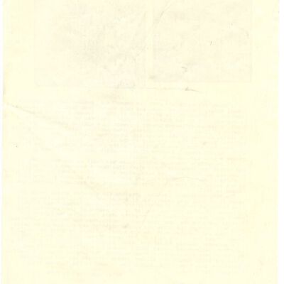 1987.15.217.35 back