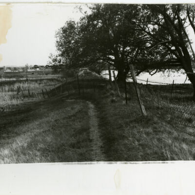 South-Looking View of a Denver Utah & Pacific Railroad Grade