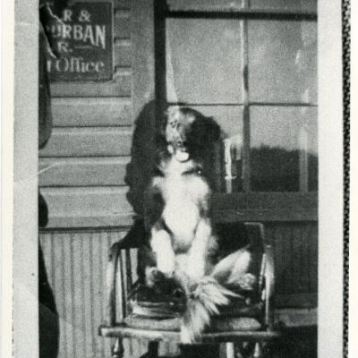 Brownie, the station agent's dog, at the depot, circa 1920: Origsize: 8" x 10"; Origformat: Paper; Resolution: 500dpi