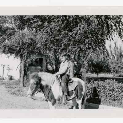 Boy on pony