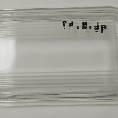 Top of lid: Origsize: 0.5" (h) x 4" (w) x; Origformat: Artifact