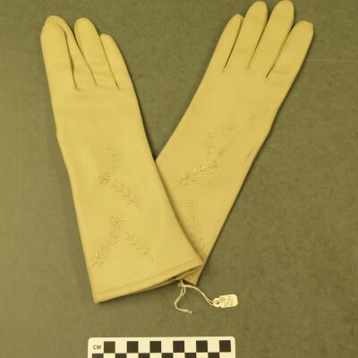 Glove