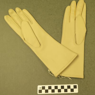 Front of gloves.: Origsize: 3" (w) x 12" (l); Origformat: Artifact