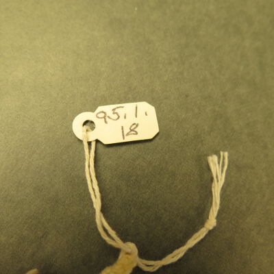 Close up of number.: Origsize: 5" (w) x 7.5" (l).; Origformat: Artifact