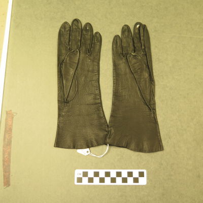 Glove