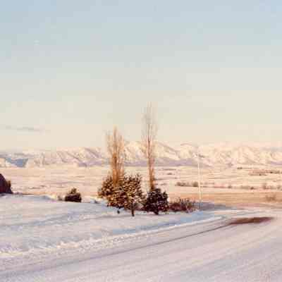 Lac Amora Neighborhood