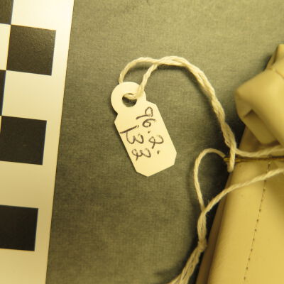 Close up of number on gloves.: Origsize: 3" (w) x 12" (l); Origformat: Artifact