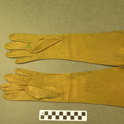 Glove
