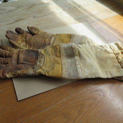 Glove