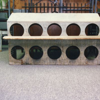 Chicken Coop in Depot Basement?