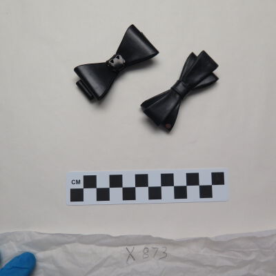Clip, Shoe