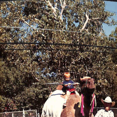Boy Riding a Camel at 1989 Broomfield Days
